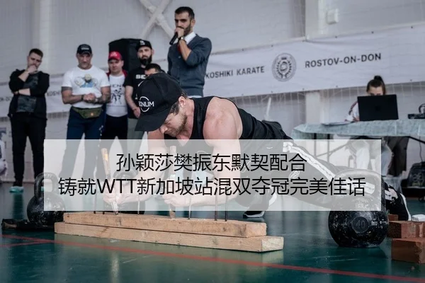 sun-ying-sha-fan-zhen-dong-mo-qi-pei-he-zhu-jiu-xin-jia-po-zhan-hun-shuang-duo-guan-wan-mei-jia-hua-2-798.jpg