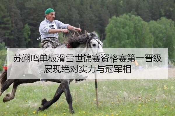 苏翊鸣单板滑雪世锦赛资格赛第一晋级 展现绝对实力与冠军相